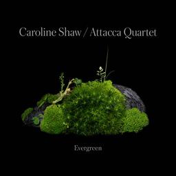 Evergreen | Shaw, Caroline (1982-....). Compositeur. Interprète. Chanteur. Musicien. Violon