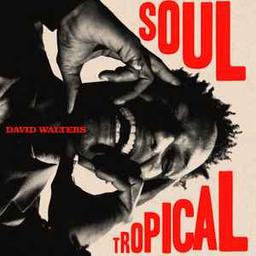 Soul tropical | Walters, David (19..-....). Interprète. Compositeur. Parolier. Musicien. Guitare. Clavier - non spécifié